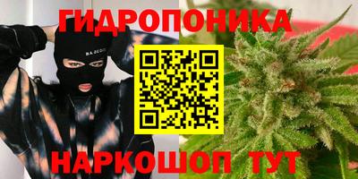гидропоника Можга