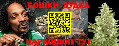 гидропоника Можга