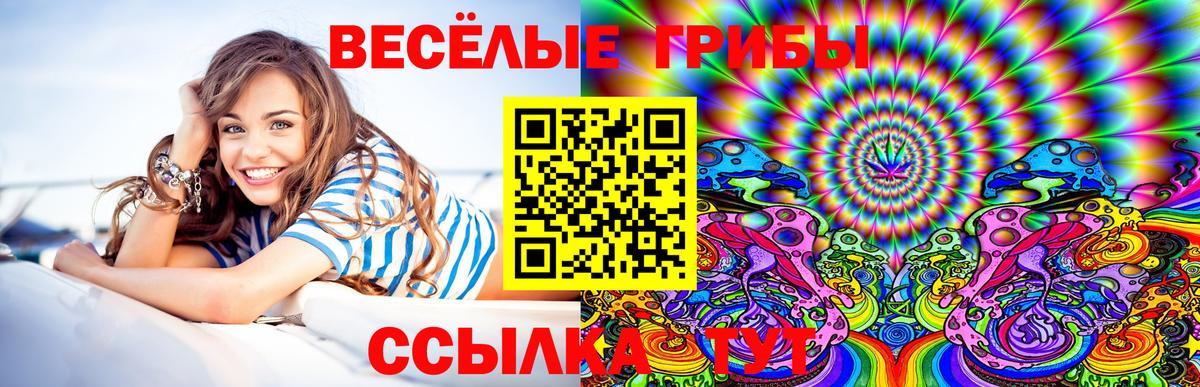 Галлюциногенные грибы GOLDEN TEACHER Тара